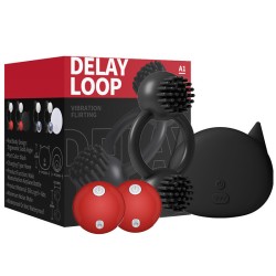 delay loop double vibrating ring