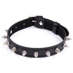 spike pin buckle collar